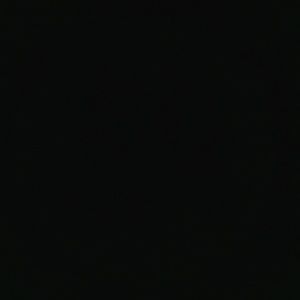 Meet your Posher, Stella